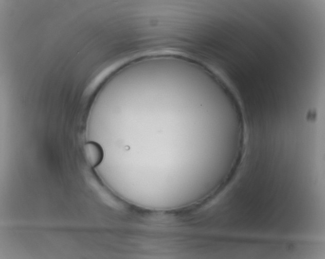 X0000114680789200910211031
