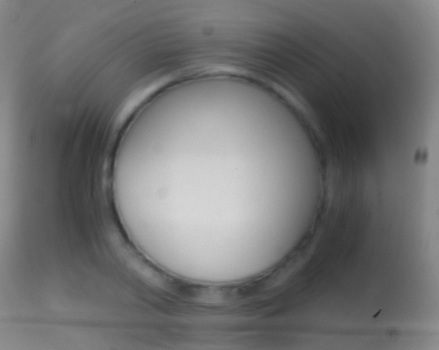 X0000114680790200910211031