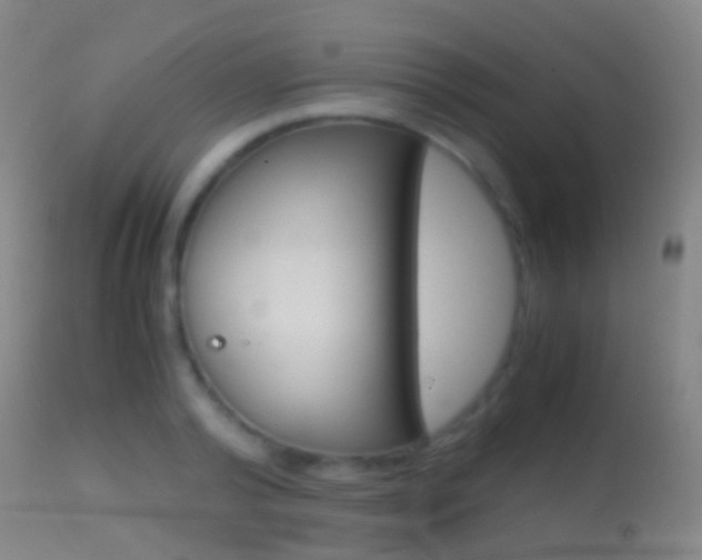 X0000114680792200910211031