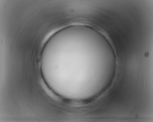 X0000114680795200910211030