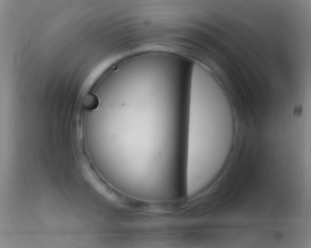 X0000114680796200910211030