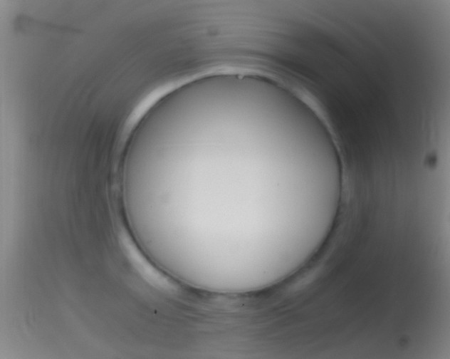 X0000114680803200910211030