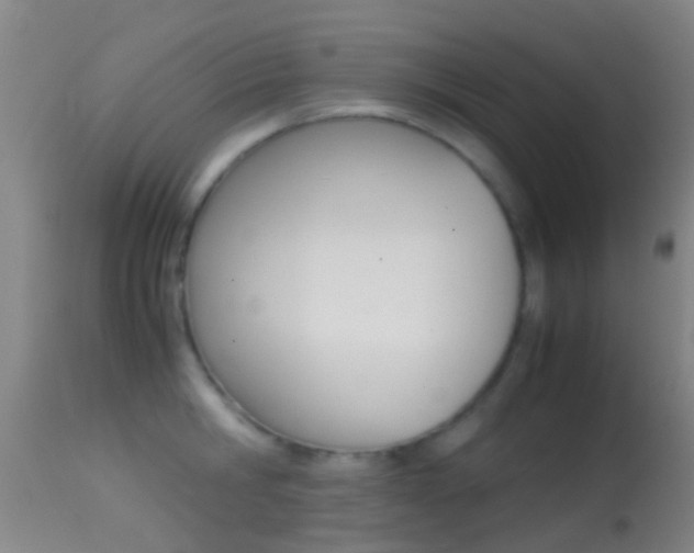 X0000114680806200910211030