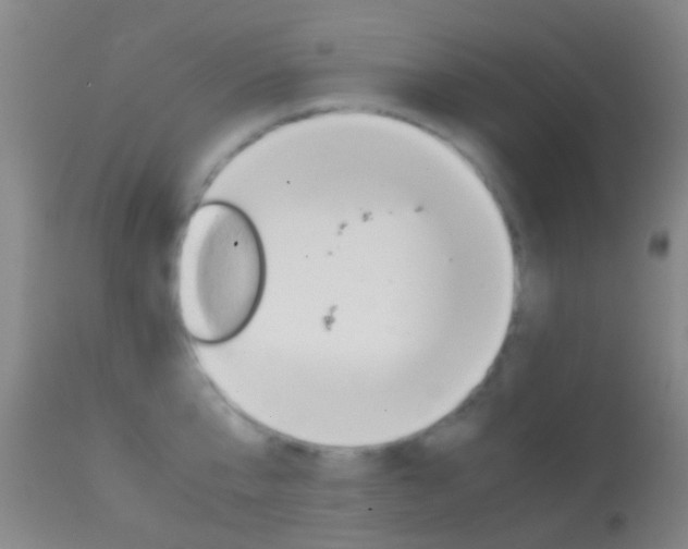 X0000114680807200910211030
