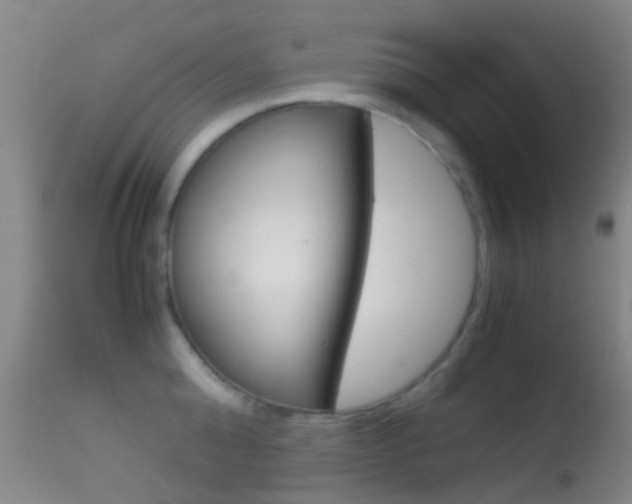 X0000114680808200910211030