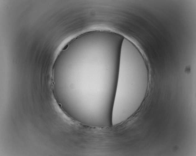 X0000114680815200910211030