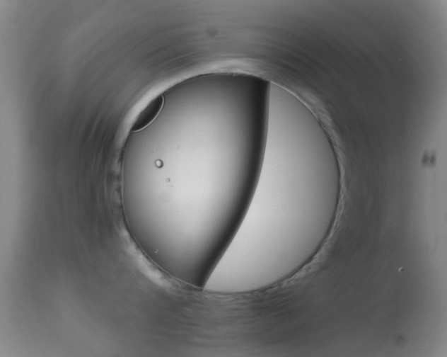 X0000114680816200910211030