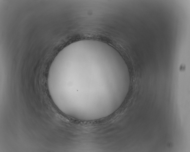 X0000114680817200910211030