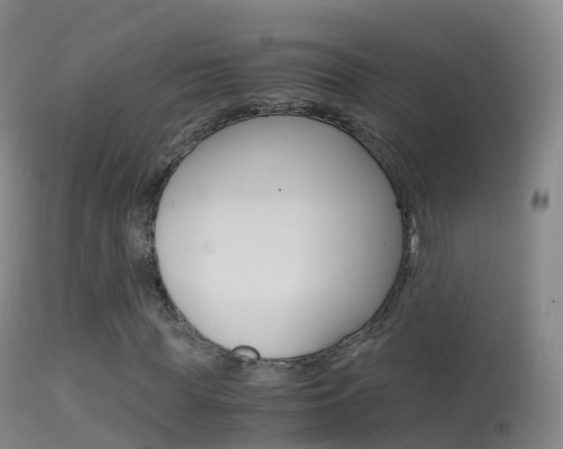 X0000114680819200910211030
