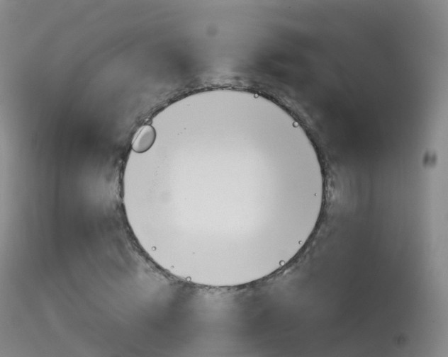 X0000114680820200910211030