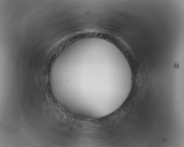 X0000114680821200910211030