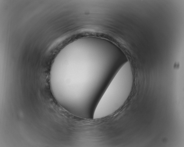 X0000114680822200910211030