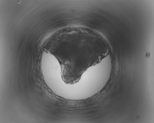 X0000114680823200910211030