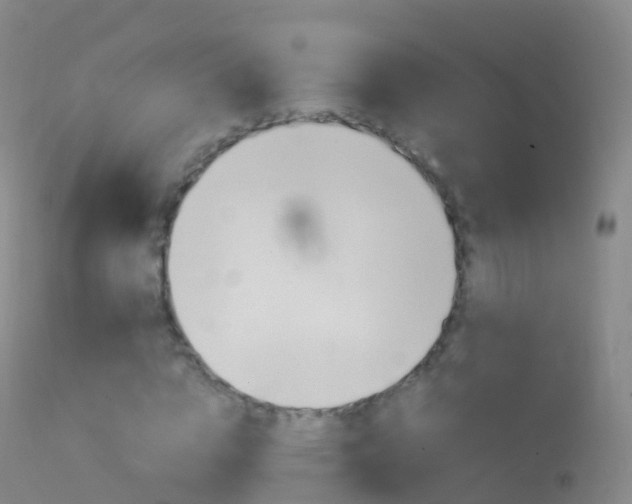 X0000114680824200910211030