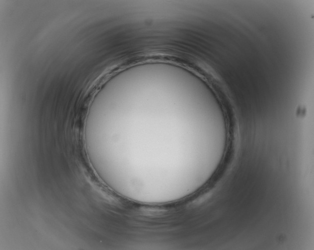 X0000114680825200910211030