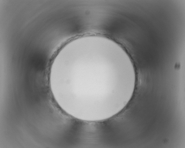 X0000114680828200910211030