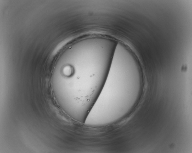 X0000114680829200910211030