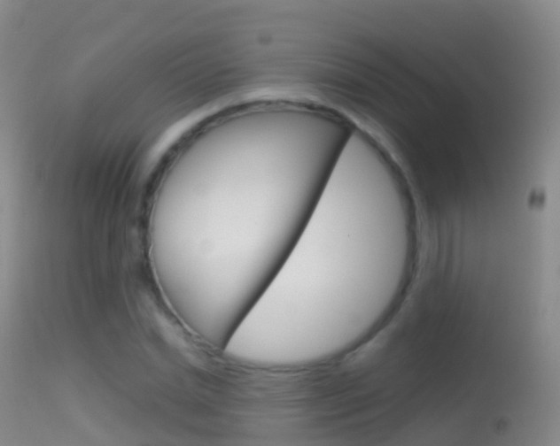 X0000114680830200910211030