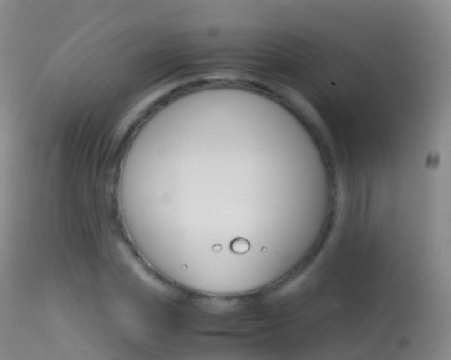 X0000114680831200910211030