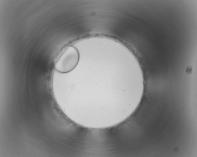 X0000114680832200910211030