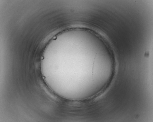 X0000114680833200910211030