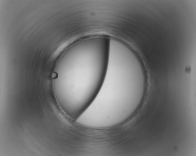 X0000114680834200910211030