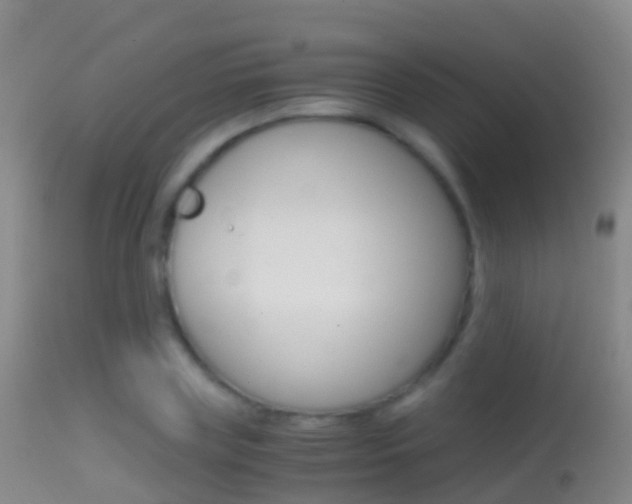 X0000114680835200910211030