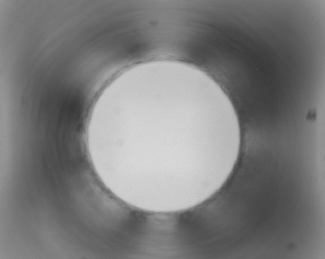 X0000114680836200910211030