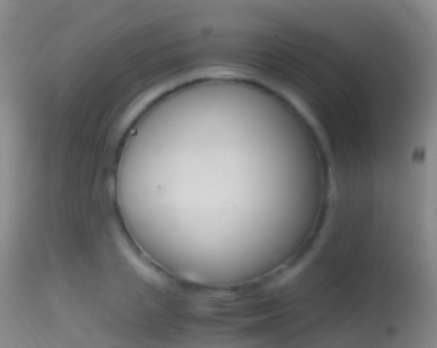 X0000114680837200910211030