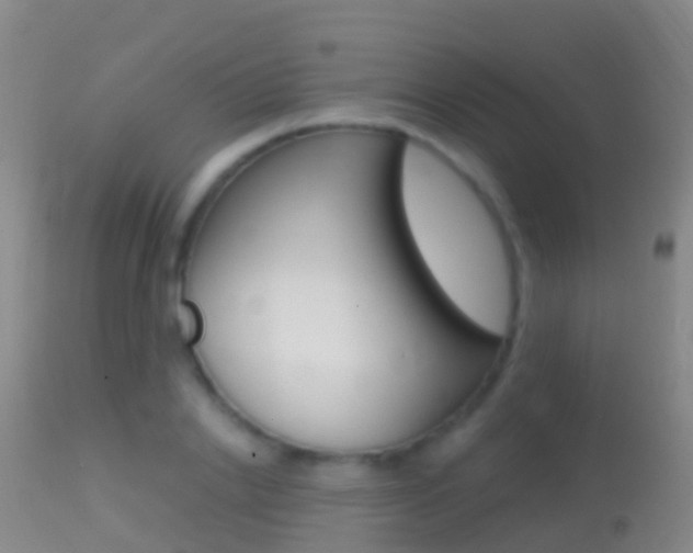 X0000114680838200910211030