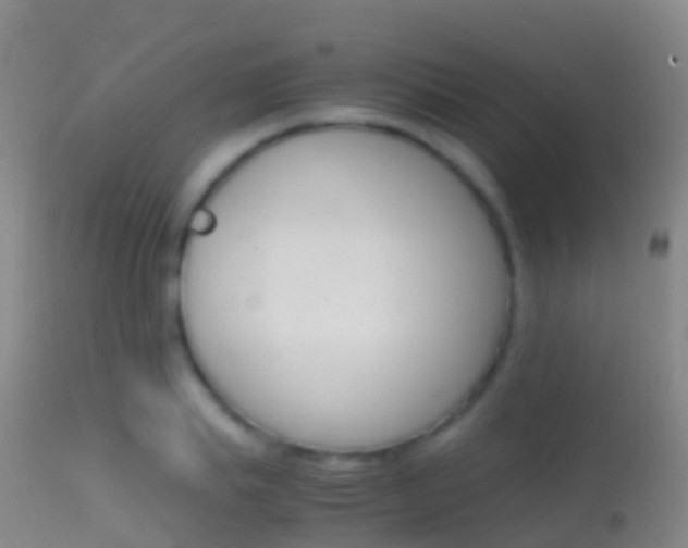 X0000114680839200910211030