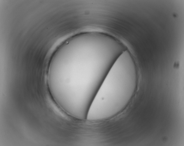 X0000114680840200910211030