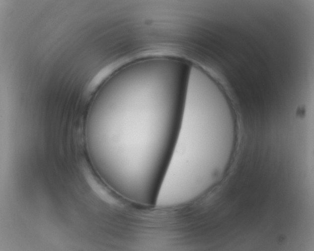 X0000114680842200910211030