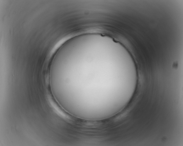 X0000114680843200910211030