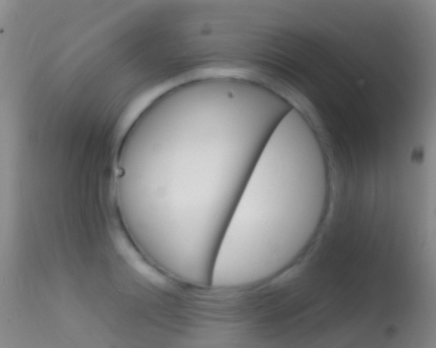 X0000114680844200910211030