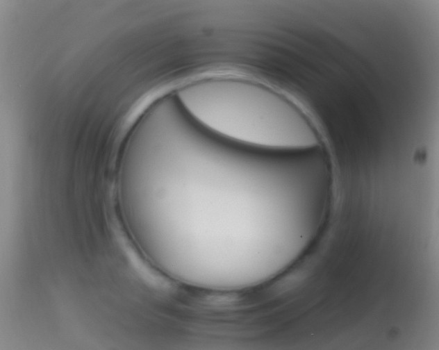 X0000114680845200910211030