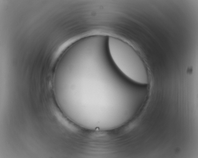 X0000114680846200910211030