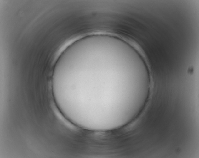 X0000114680847200910211030
