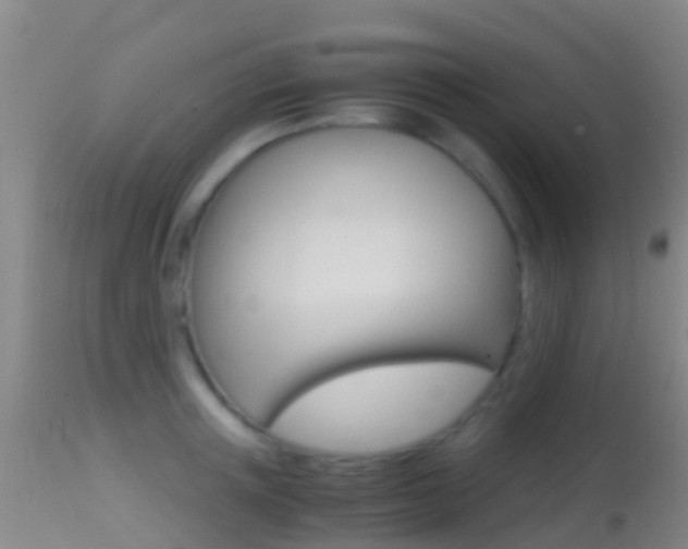 X0000114680851200910211030