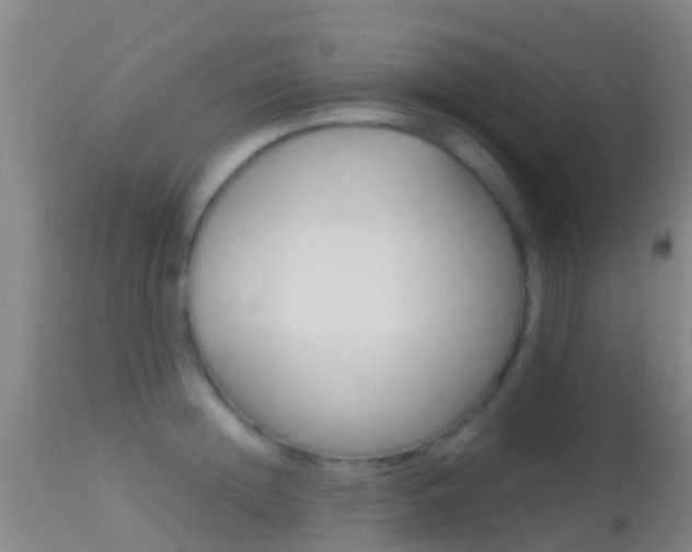 X0000114680852200910211030