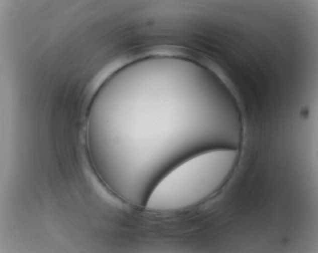 X0000114680853200910211030
