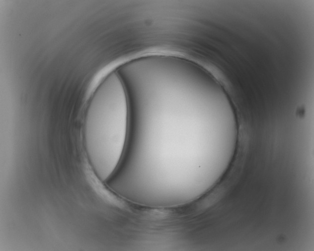 X0000114680854200910211030