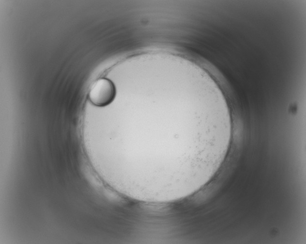 X0000114680856200910211030