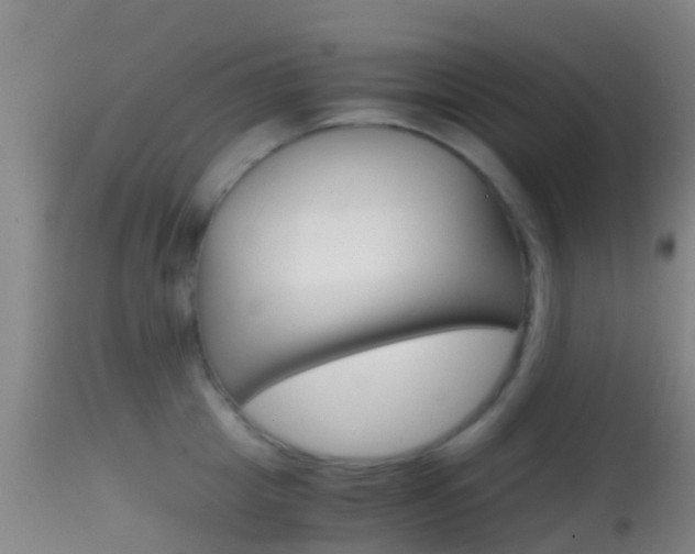 X0000114680857200910211030