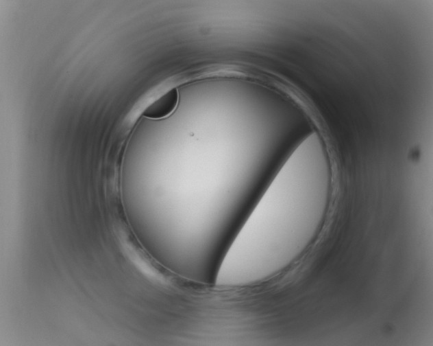 X0000114680858200910211030