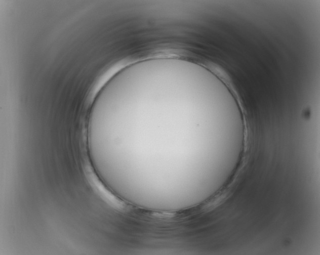 X0000114680859200910211030