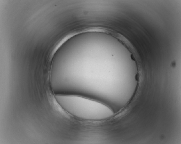 X0000114680860200910211030