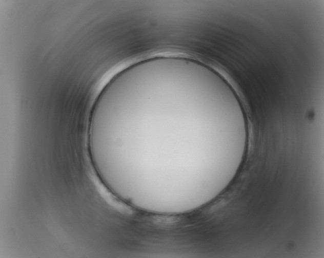 X0000114680861200910211030