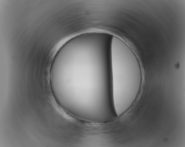X0000114680862200910211030
