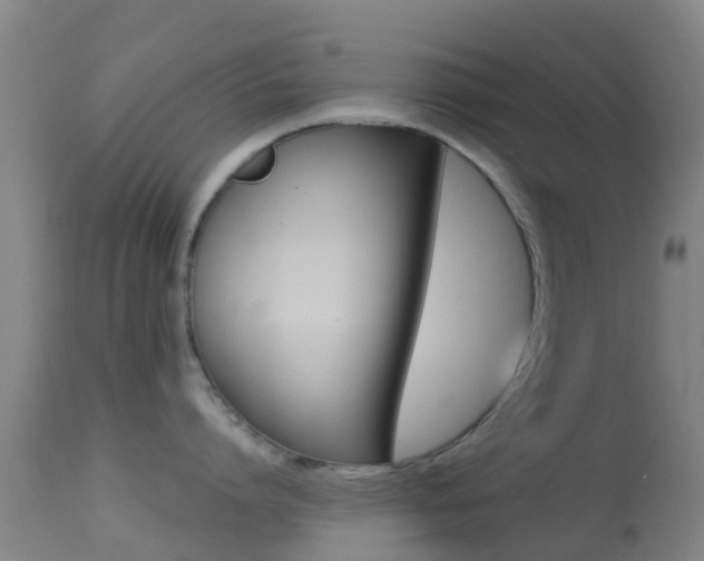 X0000114680864200910211030